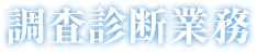 調査診断業務